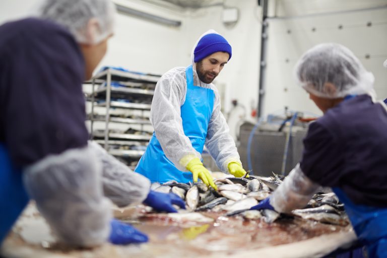 Visverwerking schoonmaak