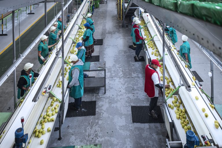 Groente- en fruitverwerking schoonmaak